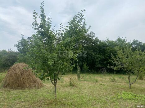Həyət evi, Qusar r.