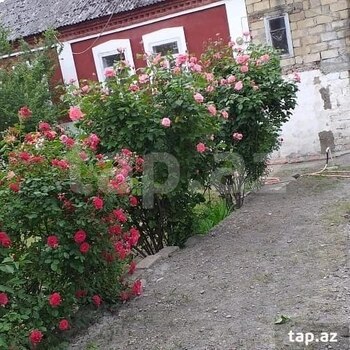 Həyət evi, Quba r.