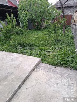 Həyət evi, Şəki r.