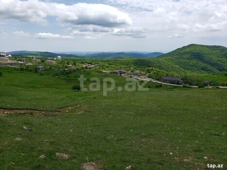 580 sot torpaq sahəsi, Şamaxı r.