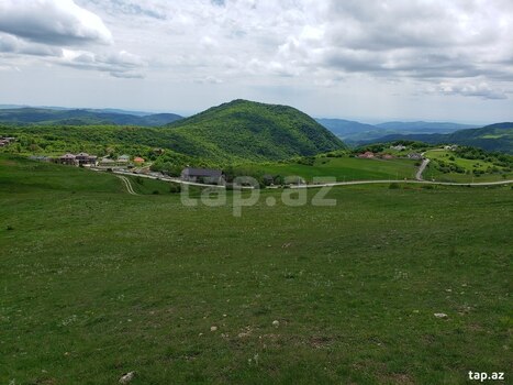 580 sot torpaq sahəsi, Şamaxı r.