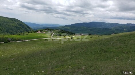 580 sot torpaq sahəsi, Şamaxı r.