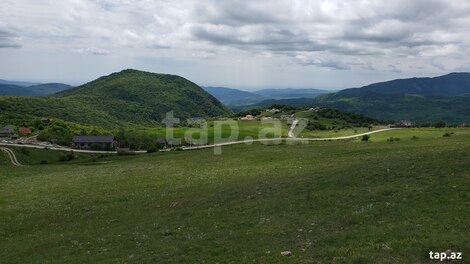 580 sot torpaq sahəsi, Şamaxı r.