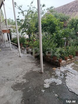 Həyət evi, Şəki ş.