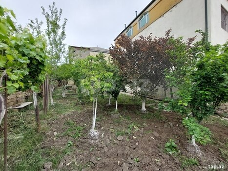 Həyət evi, Masazır qəs.
