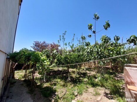 Həyət evi, Masazır qəs.