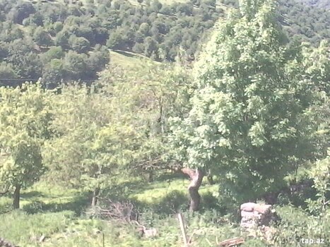 25 sot torpaq sahəsi, Gədəbəy r.
