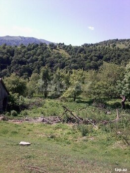 25 sot torpaq sahəsi, Gədəbəy r.