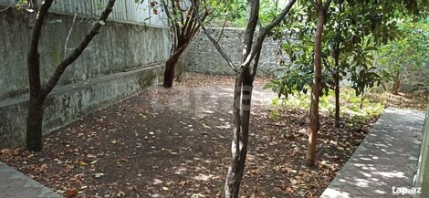 Həyət evi, Şəki ş.