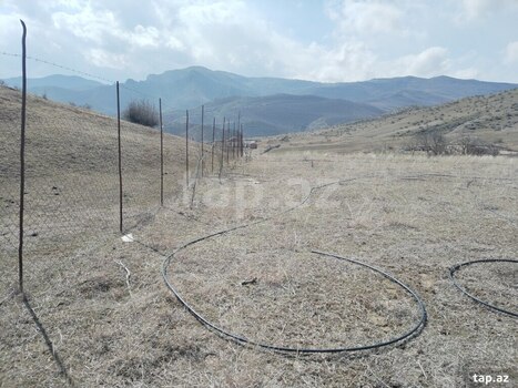 40 sot torpaq sahəsi, Tovuz r.
