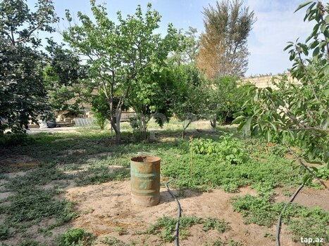 20 sot torpaq sahəsi, Sulutəpə qəs.