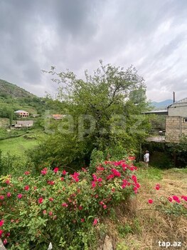 Həyət evi, Daşkəsən r.