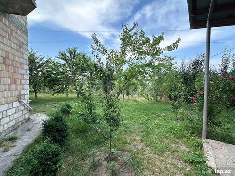 Bağ evi kirayə verilir, Quba r.