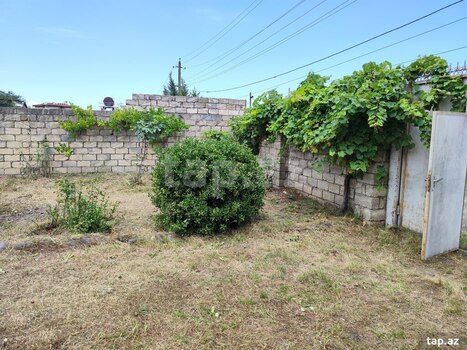 7 sot torpaq sahəsi, Lənkəran ş.
