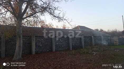 Həyət evi, Zaqatala r. 
