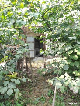 Həyət evi, Xaçmaz r.