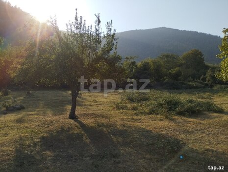 49 sot torpaq sahəsi, Oğuz r.