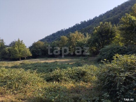 49 sot torpaq sahəsi, Oğuz r.