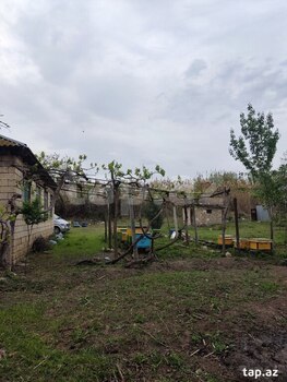 Həyət evi, İmişli r.