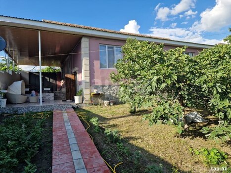 Həyət evi, Şəki ş.