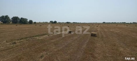 300 sot torpaq sahəsi, Xızı r.