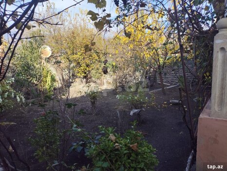 Həyət evi, Zaqatala r.