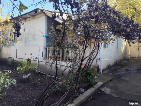 Həyət evi, Zaqatala r.