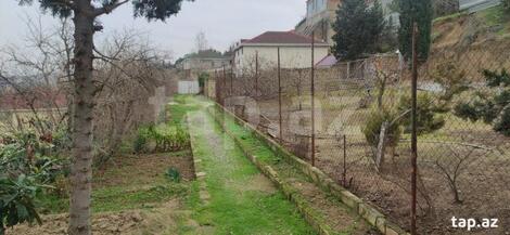 Həyət evi, Novxanı qəs.