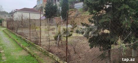 Həyət evi, Novxanı qəs.