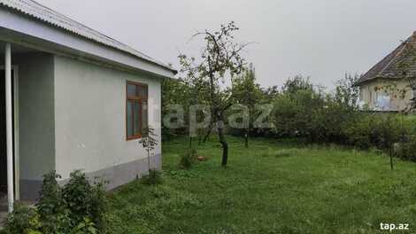 Həyət evi, Oğuz r.