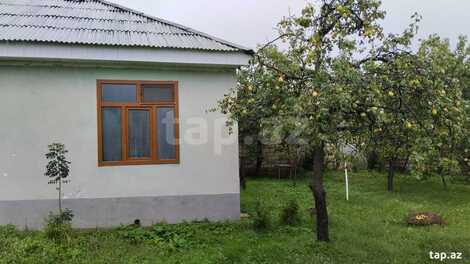 Həyət evi, Oğuz r.