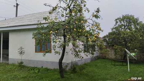 Həyət evi, Oğuz r.