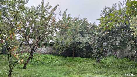 Həyət evi, Oğuz r.