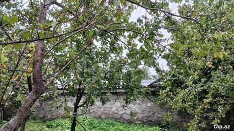 Həyət evi, Oğuz r.