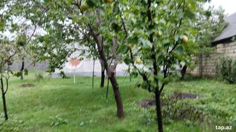 Həyət evi, Oğuz r.