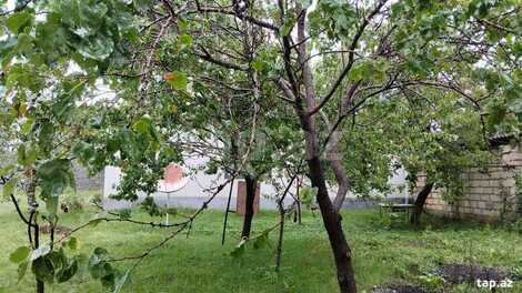 Həyət evi, Oğuz r.