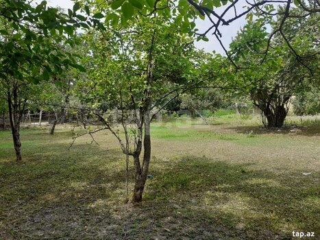 Həyət evi, Quba r.