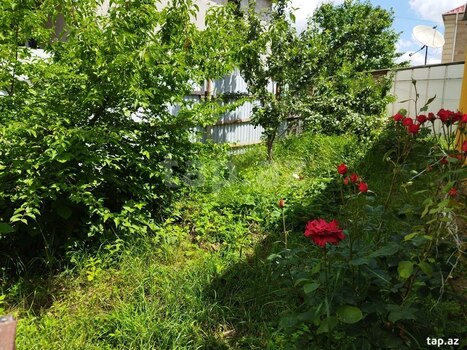 Həyət evi kirayə verilir, Qusar ş.