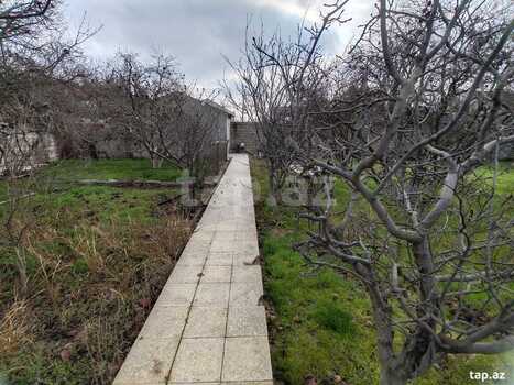 Həyət evi, Buzovna qəs.