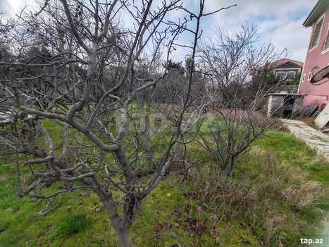 Həyət evi, Buzovna qəs.