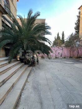 Villa, Binəqədi r.