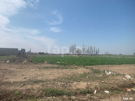 24 sot torpaq sahəsi, Samux r.