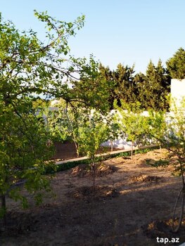 Bağ evi, Novxanı qəs.