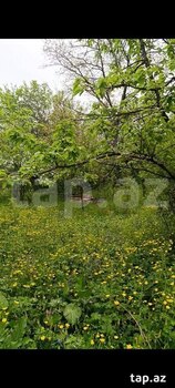 Bağ evi, Quba r.