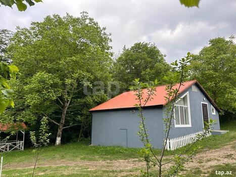 Bağ evi kirayə verilir, Quba r.