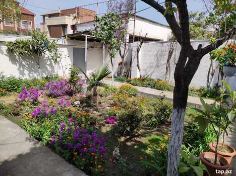 Həyət evi, 8 Noyabr pr.