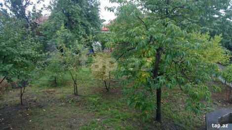 Həyət evi, Şəki ş.