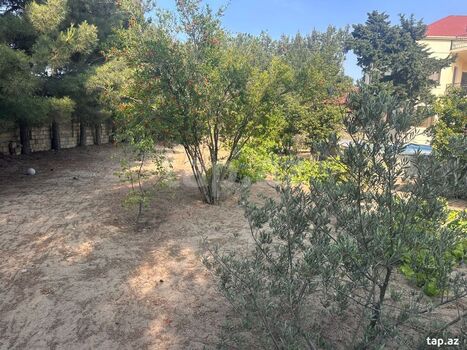 Bağ evi kirayə verilir, Novxanı qəs.