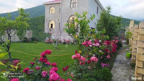 Həyət evi, Oğuz r.
