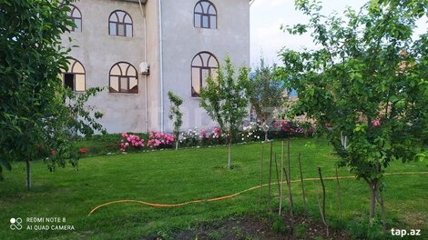 Həyət evi, Oğuz r.